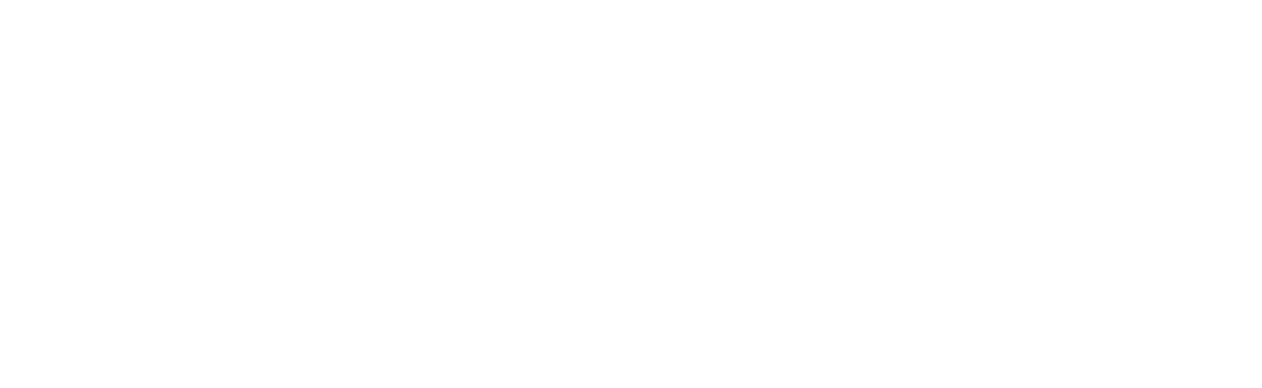 Rex Veterinary Software